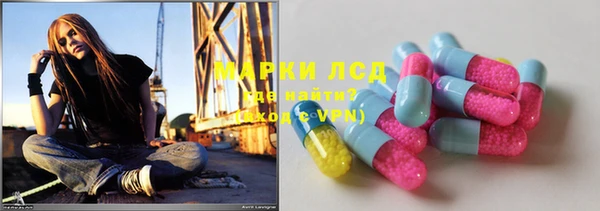 мяу мяу мука Иннополис