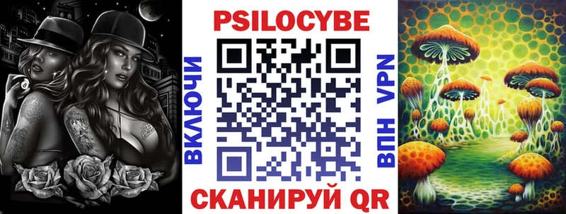 Галлюциногенные грибы Psilocybe Каргат